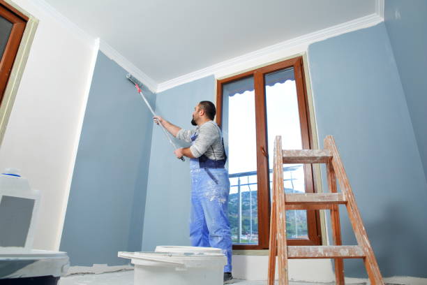 Best Drywall for Remodeling  in Burkburnett, TX