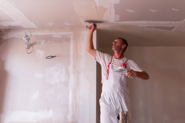 Best Ceiling Drywall Installation  in Burkburnett, TX